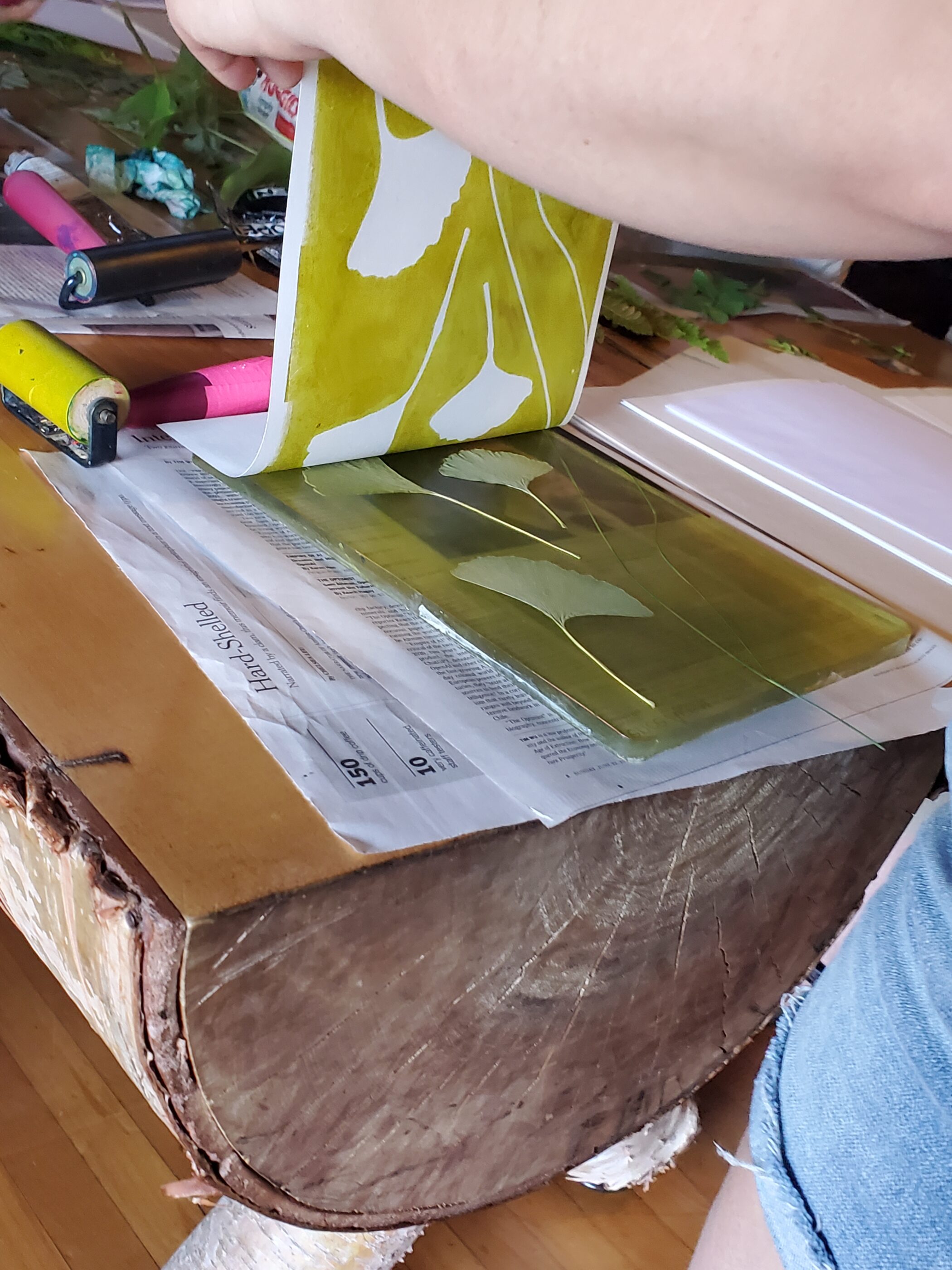 Borestone Mountain Partnership - Image 3