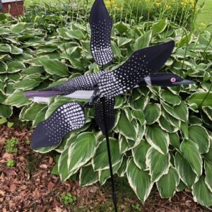 Intro to Woodworking - Whirligig Workshop