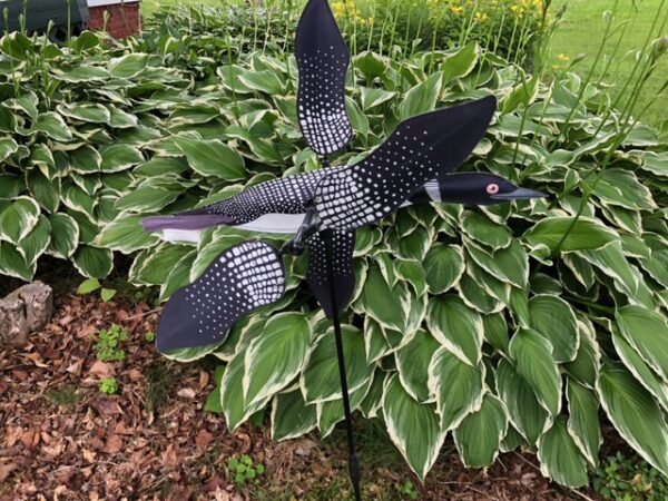 Intro to Woodworking - Whirligig Workshop